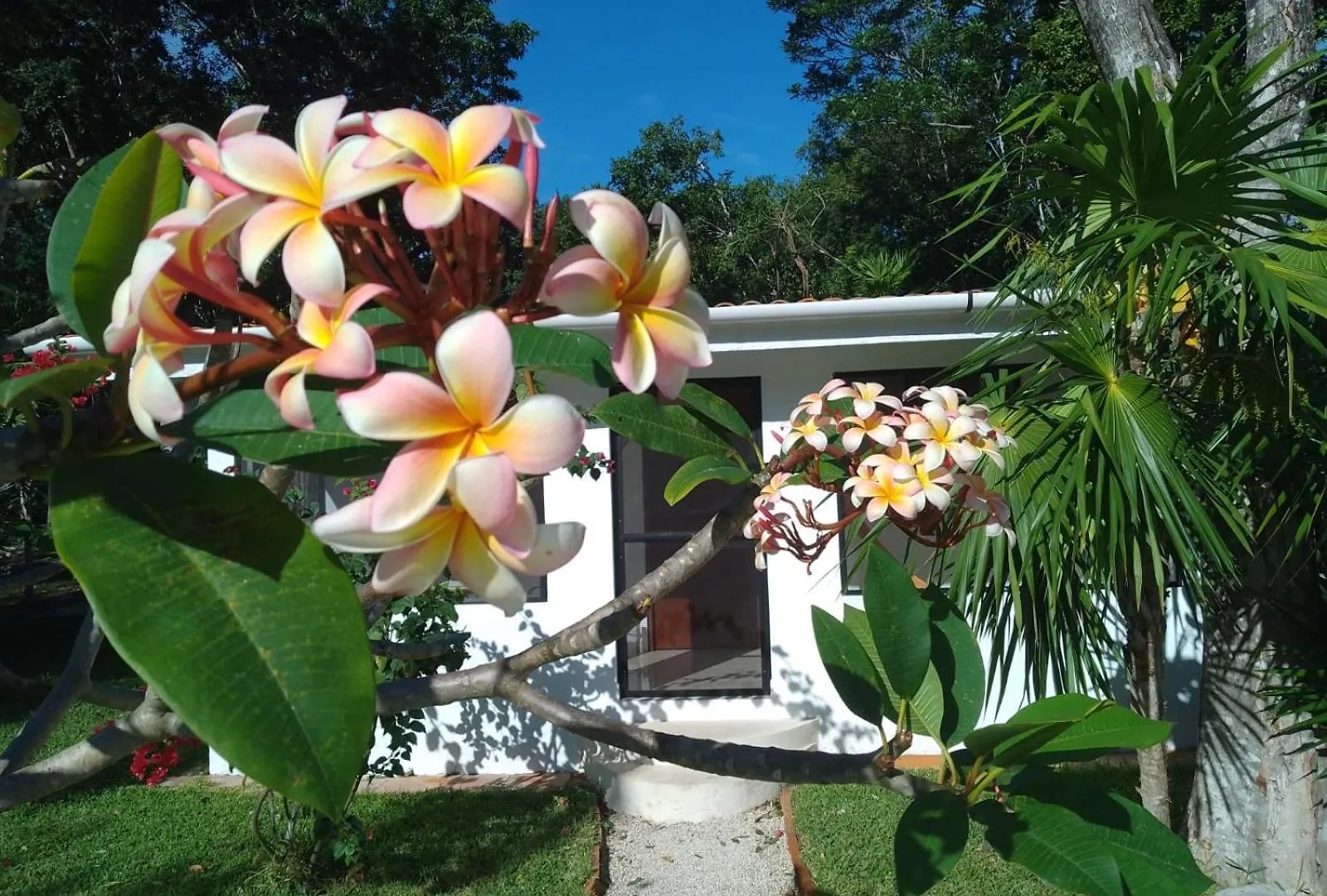 Kerubin Dorado Aparthotel Akumal Mexikó