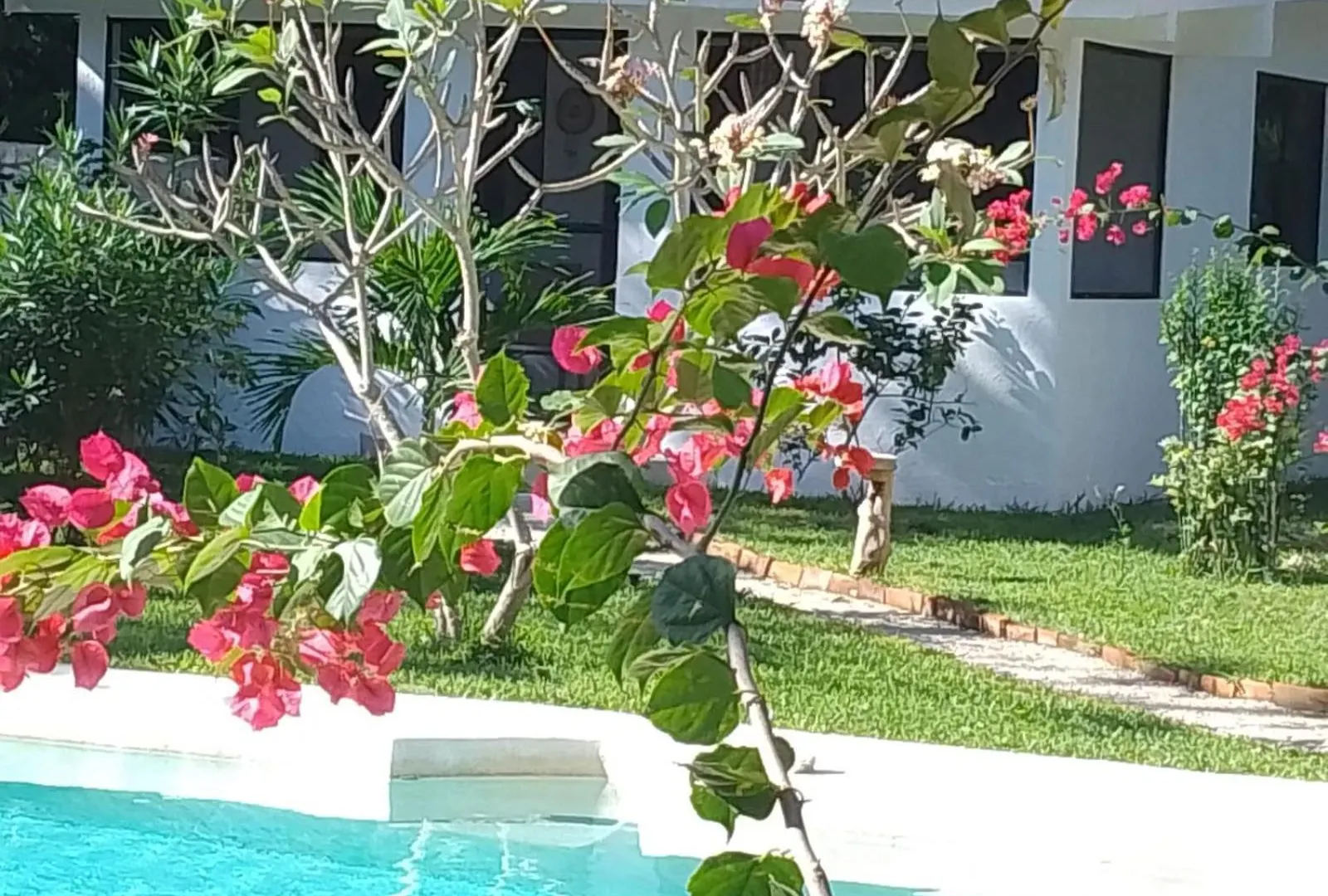Aparthotel Kerubin Dorado à Akumal