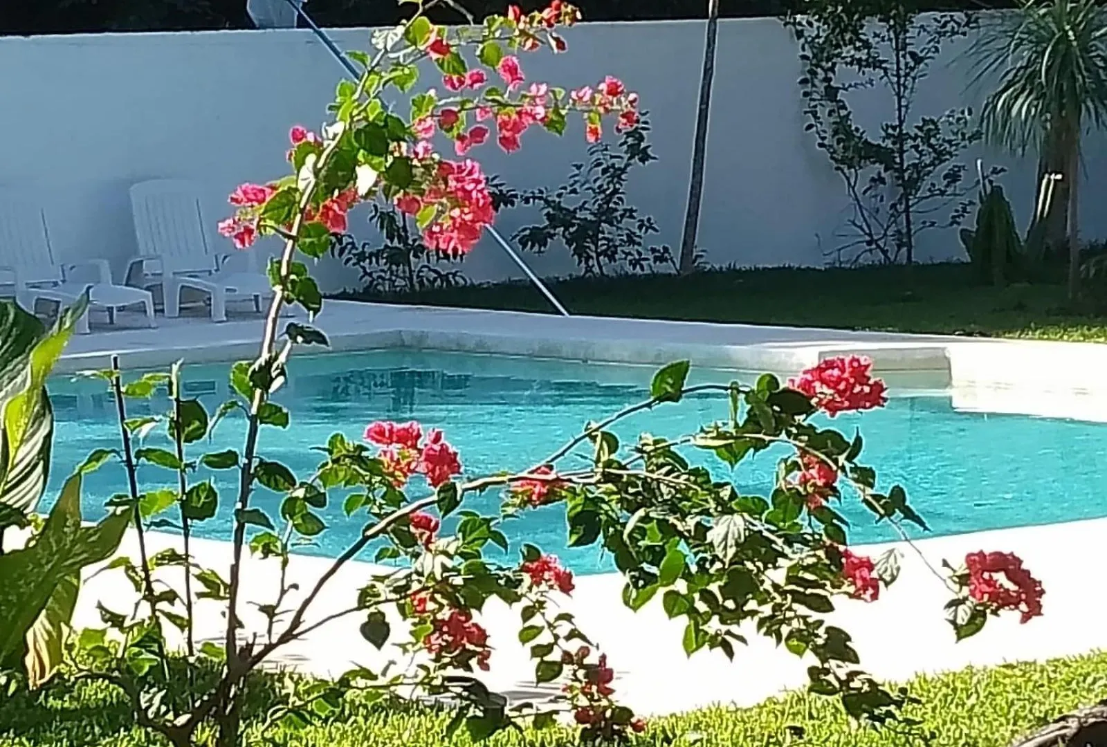 Aparthotel Kerubin Dorado à Akumal